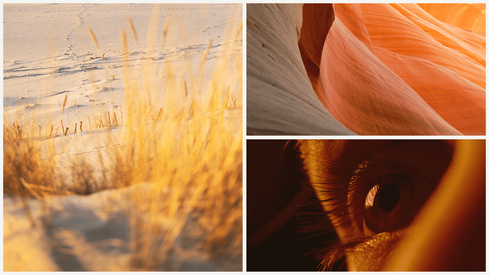 Brand mission reference images showing arid landscapes, waves, and natural forms